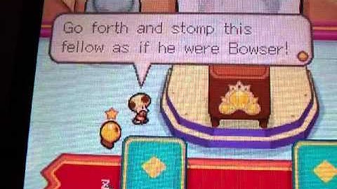 Mario and Luigi Bowser