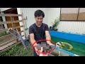 鰐さんにとある激レア生物をプレゼントしてきました