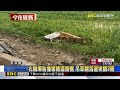 右輪爆胎撞壞國道護欄 吊車翻落邊坡翻2圈@newsebc