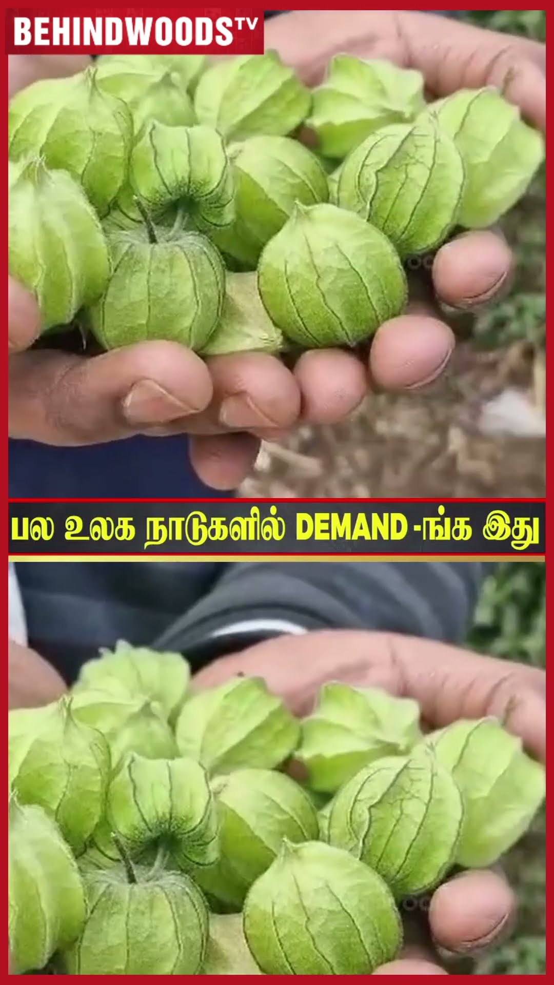 Omg ? 'இதுக்கு இப்படி ஒரு Demand-ஆ..' ? அதிர வைக்கும் தகவல் ..Viral Video