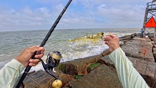 I cast a big fake shrimp at the jetty and this happened (S7 E75)