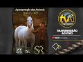 APRESENTAÇÃO DOS ANIMAIS - LEILÃO SS RANCH