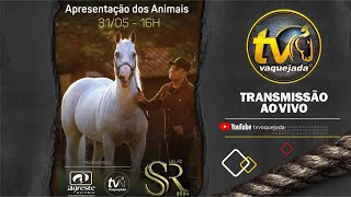 APRESENTAÇÃO DOS ANIMAIS - LEILÃO SS RANCH