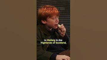 Did You Know In HARRY POTTER AND THE PHILOSOPHER