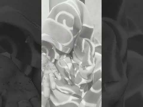 20 February 2026 by Bhumika Prince