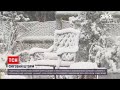 Новини світу: у Європі вирує негода зі сніговим штормом та холодом