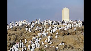 LIVE: Muslim pilgrims move from Arafat to Muzdalifah for Hajj