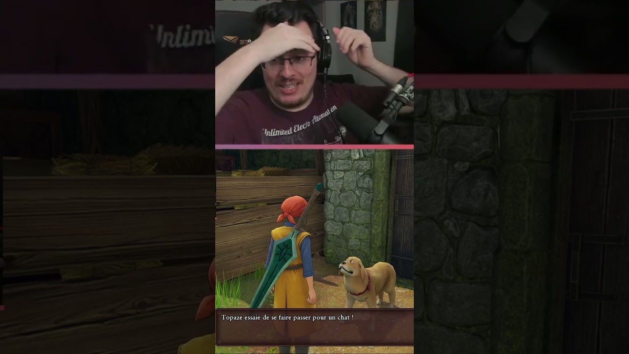 Je confond un chien avec un chat ??