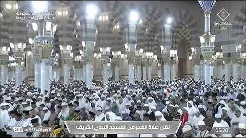 صلاة الفجر المسجد النبوي الشيخ محمد برهجي | الثلاثاء 15 ربيع الآخر 1447هـ خواتيم سورة فصلت.