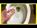 Cleaning my TOILET for the FIRST TIME in 3 Weeks!!! (Super Satisfying Bathroom Hacks) | Andrea Jean