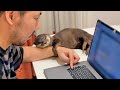 What’s more important, me or work ?