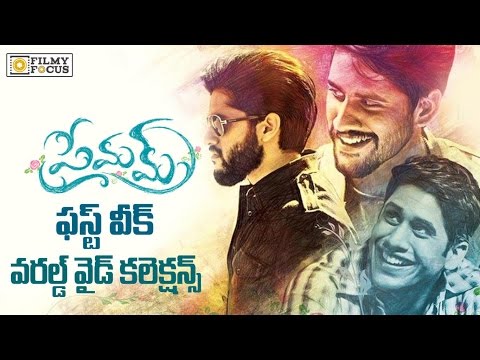 Premam Movie 1st Week Worldwide Collections || Naga Chaitanya, Shruti Haasan - Filmyfocus