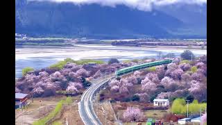 CRRC Train to Spring
