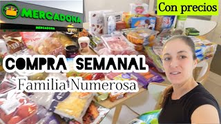 Vlog de COMPRA SEMANAL de una Familia de 6/MERCADONA/Precios y Novedades#mamade4#supermercado