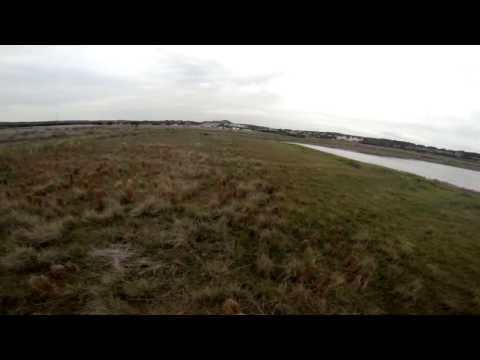 Chasing Deer