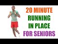 20 Minute Running in Place for Seniors 🔥 2700 Steps - 230 Calories 🔥