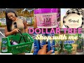 Dollar Tree Shop With Me! Food, Hygiene, Beauty!