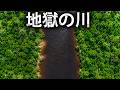 恐怖の川:信じがたいアマゾンの狂気じみた秘密!