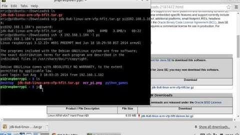 Install JDK 8 on Raspberry Pi and set JAVA_HOME and PATH