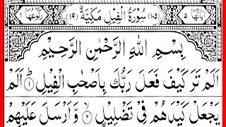 Alam Tara Kaifa Fala Rabbuka | Learn Quran With Tajweed | Surah Feel Ki Tilawat | Hafiz Usama Ali