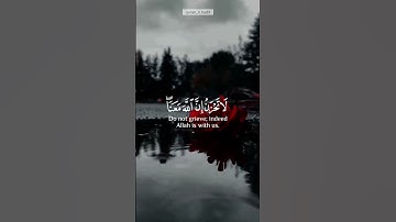 (لا تحزن إن الله معنا) القارئ|عبد الرحمن مسعد.سورة التوبة❤️احبكم💞