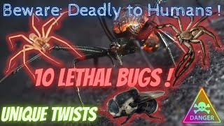 Beware: 10 Lethal Bugs! That Pose a Threat to Humans! | Worldly Explorers (MULTISUB)