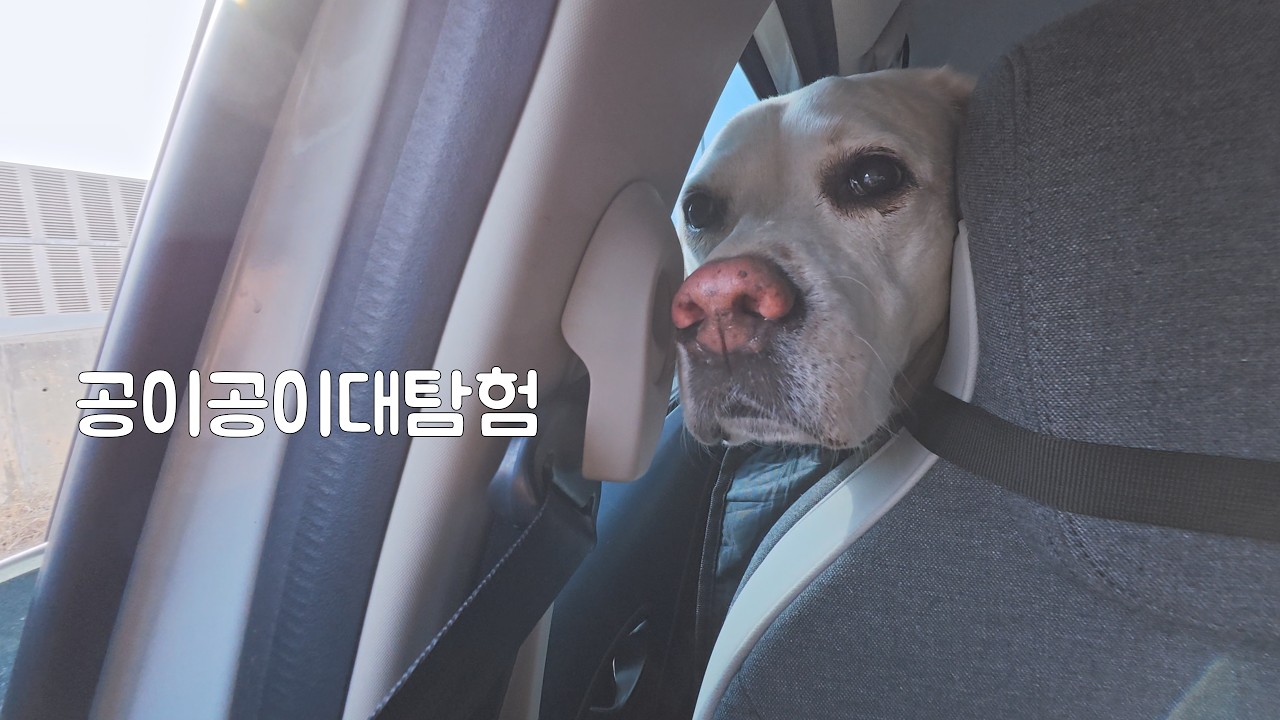 공이공이대탐험