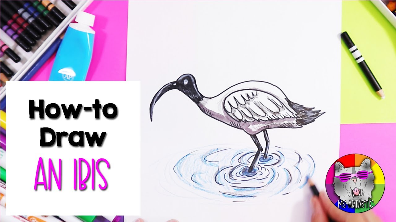 ibis paint sketch
