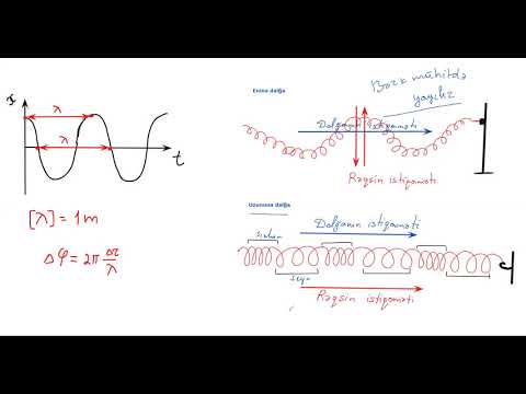 Mexaniki Dalğalar. Məcburi rəqslər, rezonans.