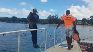 Scuba Barbados