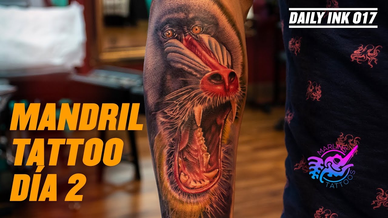 tattoo artist near me Tatuando Mandril Realista a Color // Realistic Color Baboon Tattoo Día 2 | Daily Ink 017
