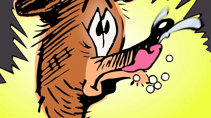 Roscoe Bear Final Edit