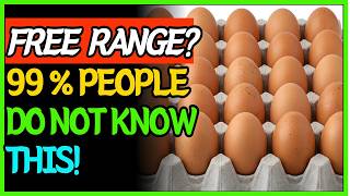 Stop Buying Eggs Like This! What Supermarkets Are Hiding Stop Buying These Eggs Shorts