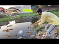 Best hook fishing in village   suhaib sabir vlogs