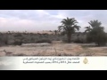 تجريف أكثر من فداناً من
