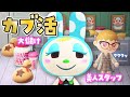 【あつ森】カブ活でベル稼ぎ！フランソワがやってくる！｜ちゃちゃまると作る島づくり【生配信】