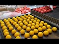 마카롱의 진화는 어디까지!? 대박났죠! 독특한 수제 사브레 마카롱 Amazing process! making unique macaron - Korean street food