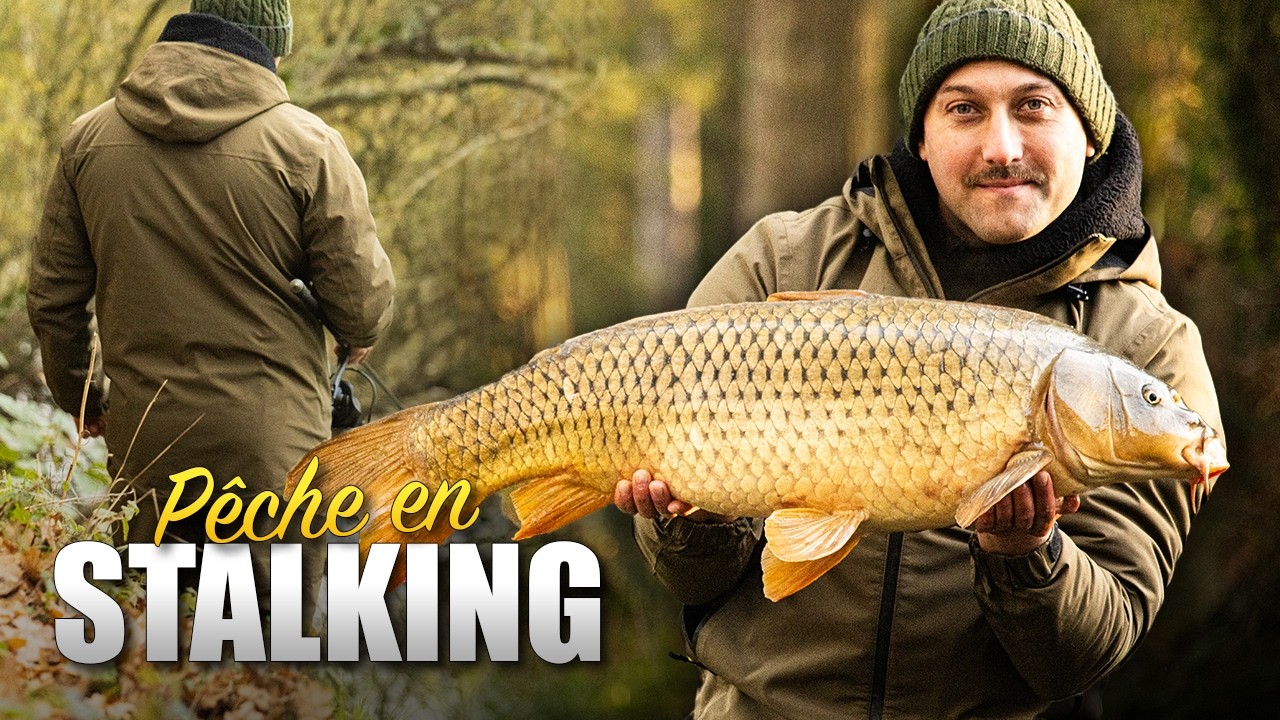 PÊCHE EN STALKING : TRAQUE DES CARPES DANS LES OBSTACLES