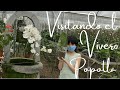 Vivero Popotla - Visite el vivero con mas variedad de Orquídeas