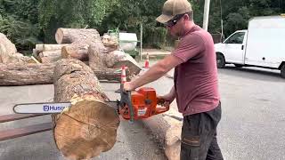 Curly Maple Log Educational Video