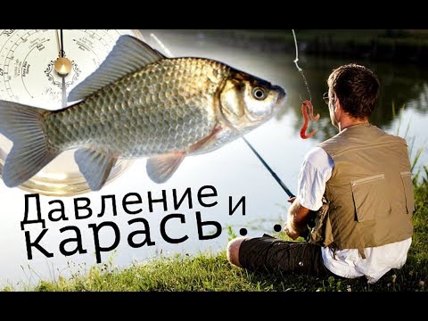 При каком давлении карась лучше клюет? Какое оптимальное давление для рыбалки на карася?
