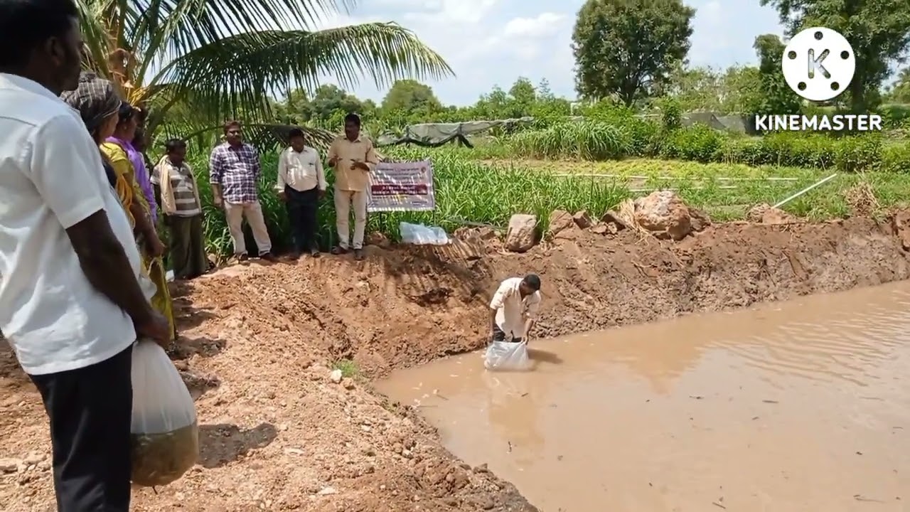 Demonstration on Composite Fish Rearing at Pulikkal village of