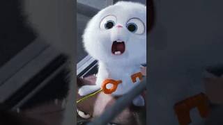 Тайная жизнь домашних животных 🙀