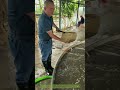 Fischzucht: Entnahme von Fischbrut aus einem Aufzuchtbecken