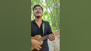তোরে বানাইয়া রাই বিনোদিনী, আমি হবো কালাচান #mrsamir #ukulele #folksong