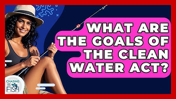 What Are The Goals Of The Clean Water Act? - Chasing Big Fish