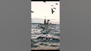 ( الله يدعوا الى دار السلام ) القارئ رعد الكردي #تلاوة_خاشعة #اكتب_شي_تؤجر_عليه