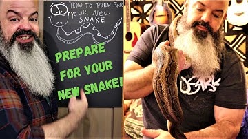 How To Prepare For Your New Snake: Everything you need to get ready for a pet snake