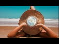 🌴 Tropical Dream - Spiring ( No Copyright 🎵) Functional Music | Beat | Summer | Chill | Electronic