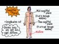 Mastering Anatomical Terminology and Body Positioning